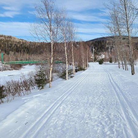 Condo-chalet de la Vallée d'Édouard LʼAnse-Saint-Jean Extérieur photo