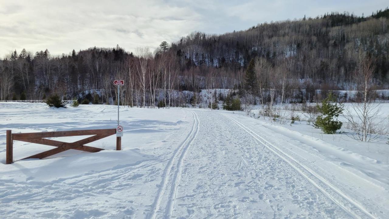 Condo-chalet de la Vallée d'Édouard LʼAnse-Saint-Jean Extérieur photo