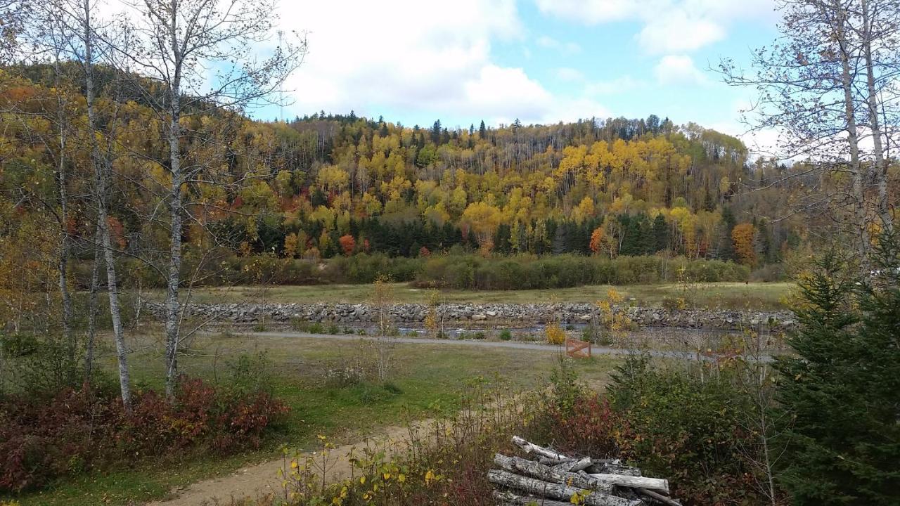 Condo-chalet de la Vallée d'Édouard LʼAnse-Saint-Jean Extérieur photo