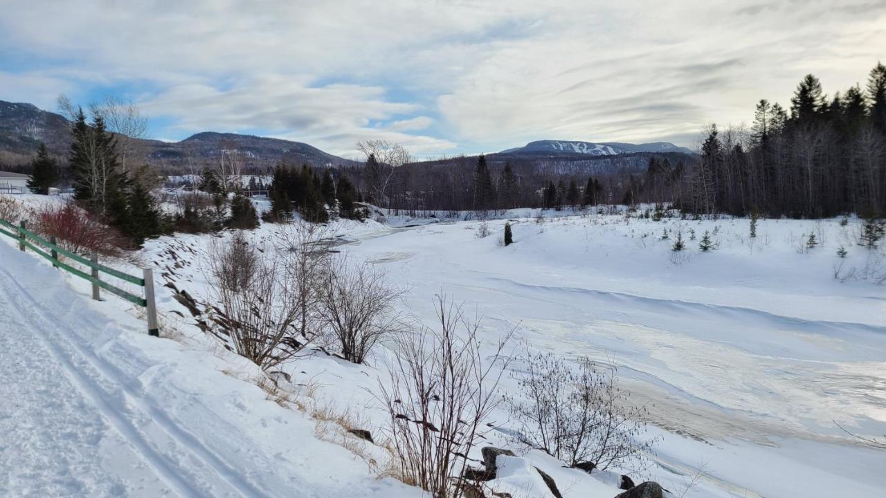 Condo-chalet de la Vallée d'Édouard LʼAnse-Saint-Jean Extérieur photo
