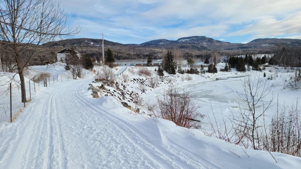 Condo-chalet de la Vallée d'Édouard LʼAnse-Saint-Jean Extérieur photo